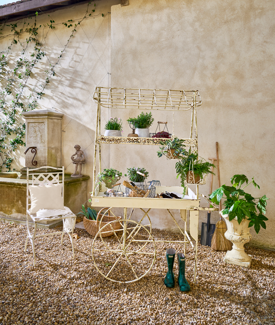 Planten in een Franse sfeer
