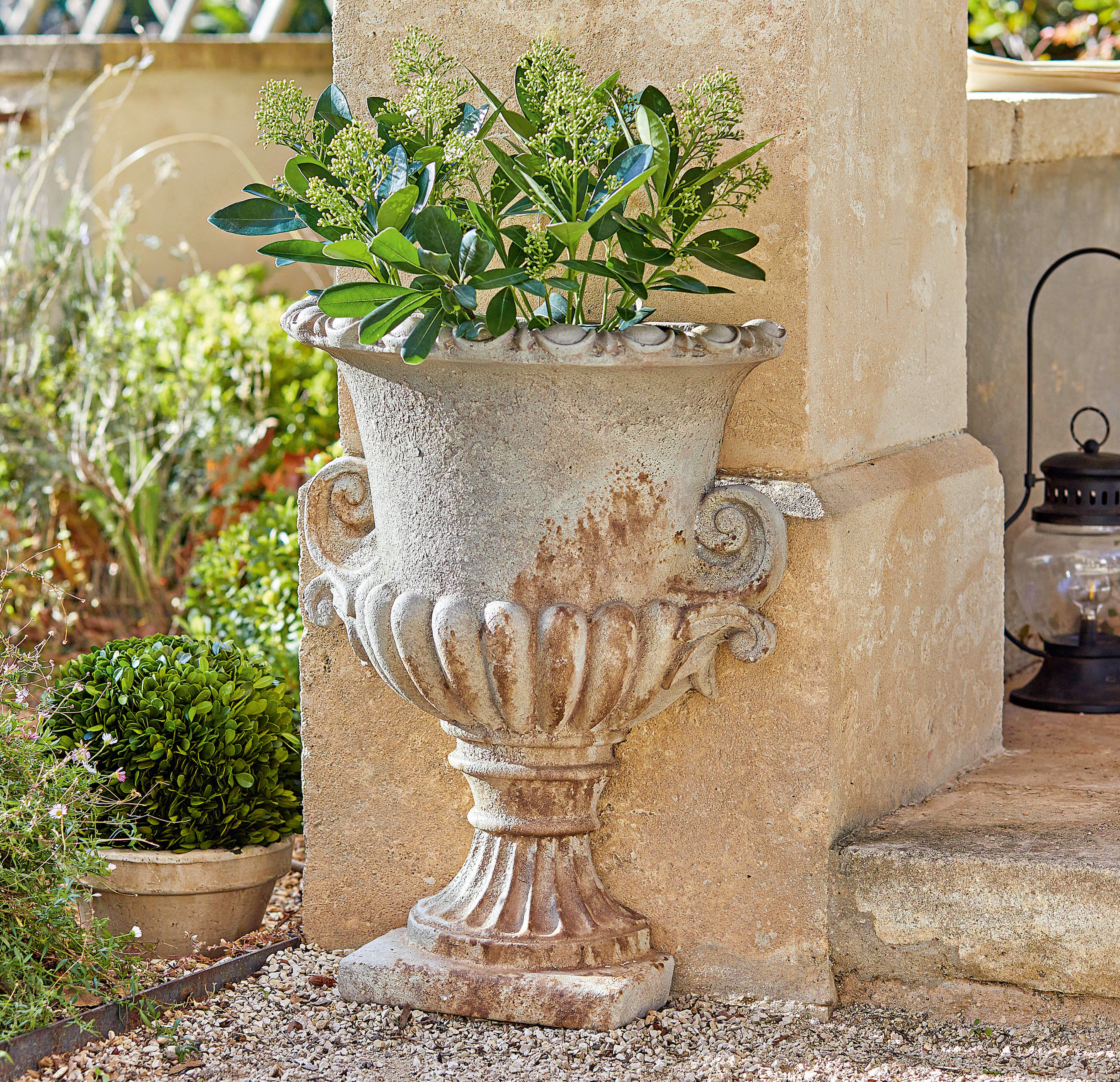 Decoratieve stenen vaas in antieke stijl met groene planten, elegante tuinversiering
