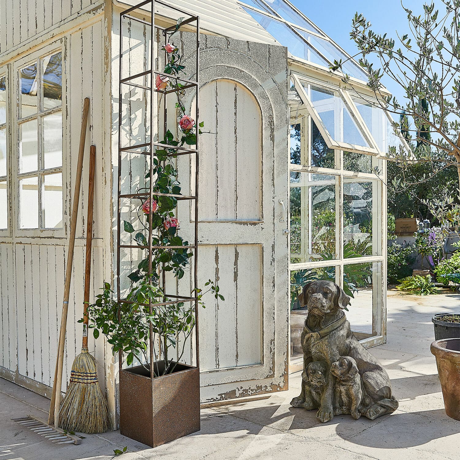 Chien décoratif Samiran