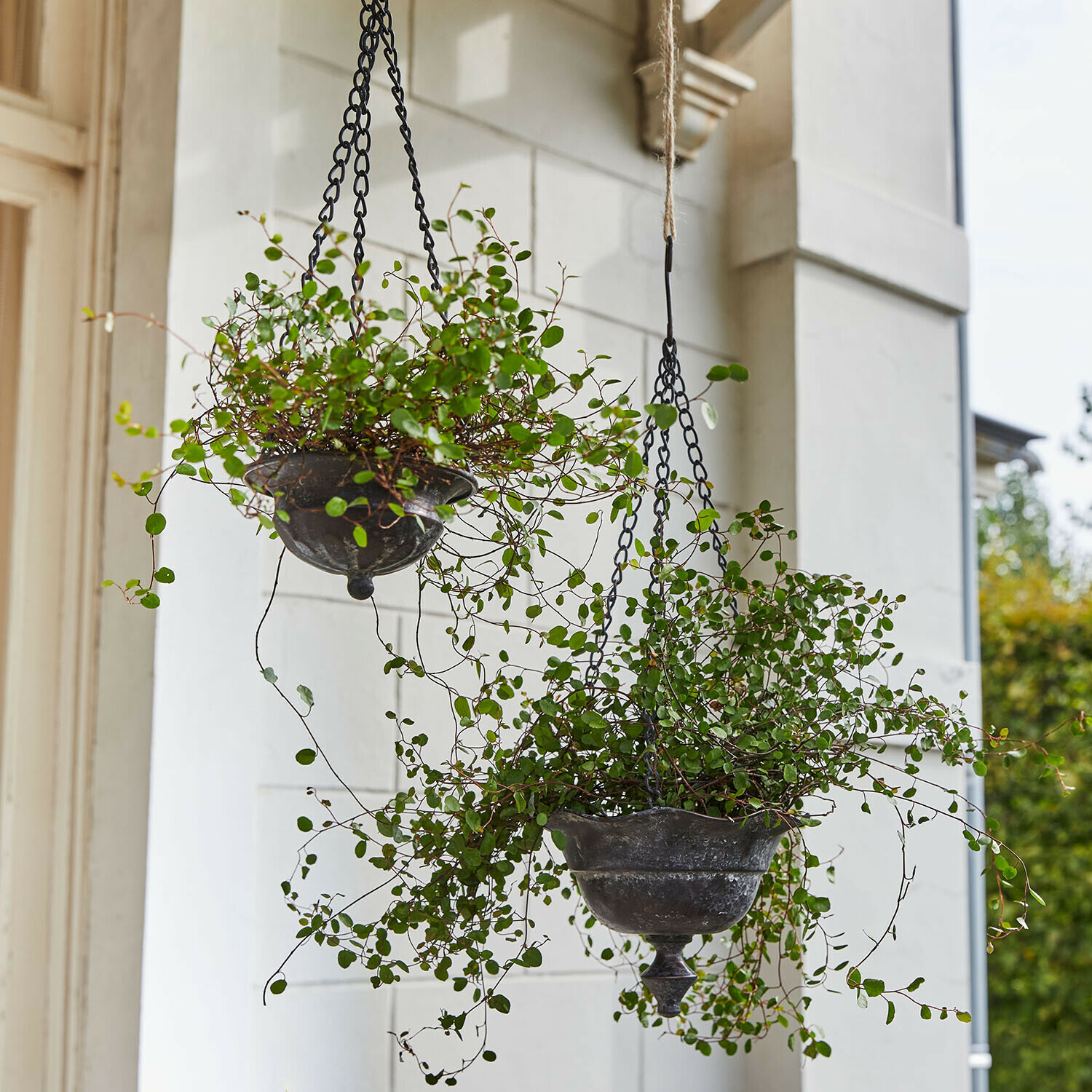 Hangpot set van 2 Trelonne