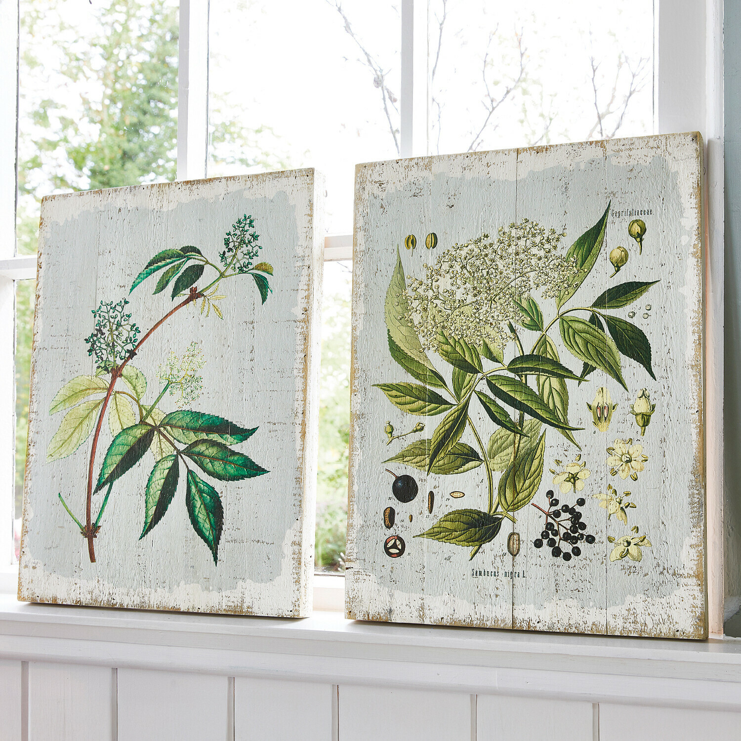 Lot de 2 tableaux décoratifs Loanne Tableaux en bois avec illustrations botaniques de feuilles vertes et fleurs sur fond clair pour décoration