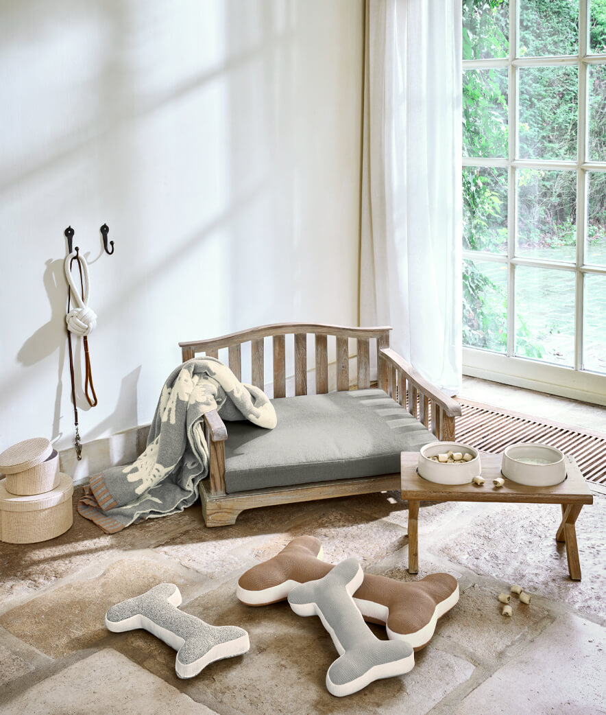 Lievelingsplekje voor huisdieren