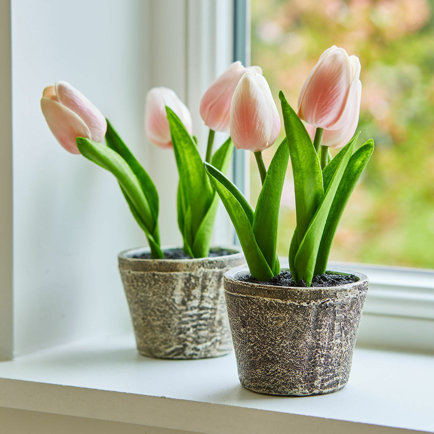 Lot de deux pots de tulipes décoratives Zéphine Tulipes roses délicates en pots en pierre grise sur rebord de fenêtre, décoration printanière