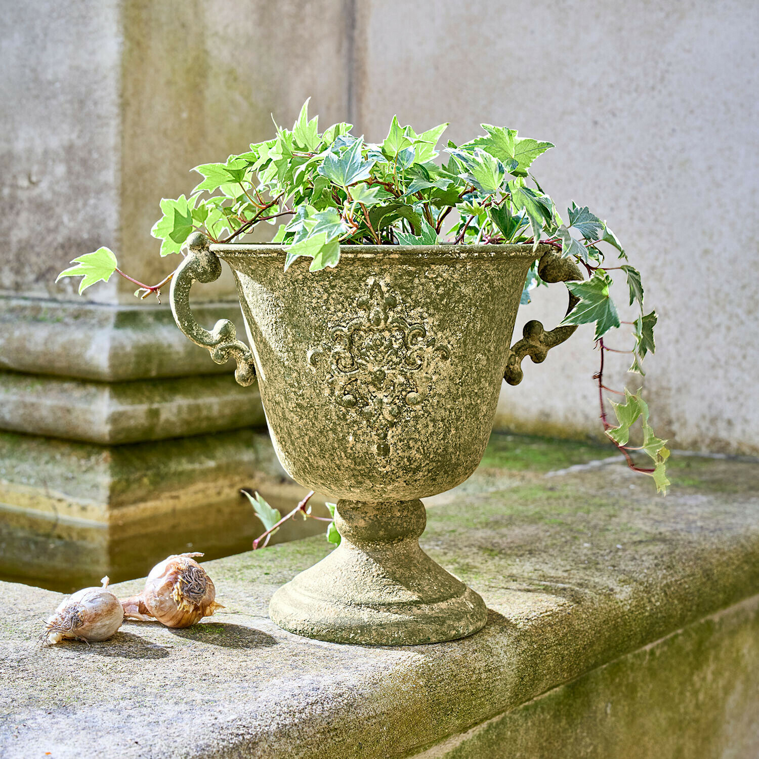 Amphore Ivyridge Jardinière décorative verte vieillie avec plante de lierre sur une surface en pierre extérieure