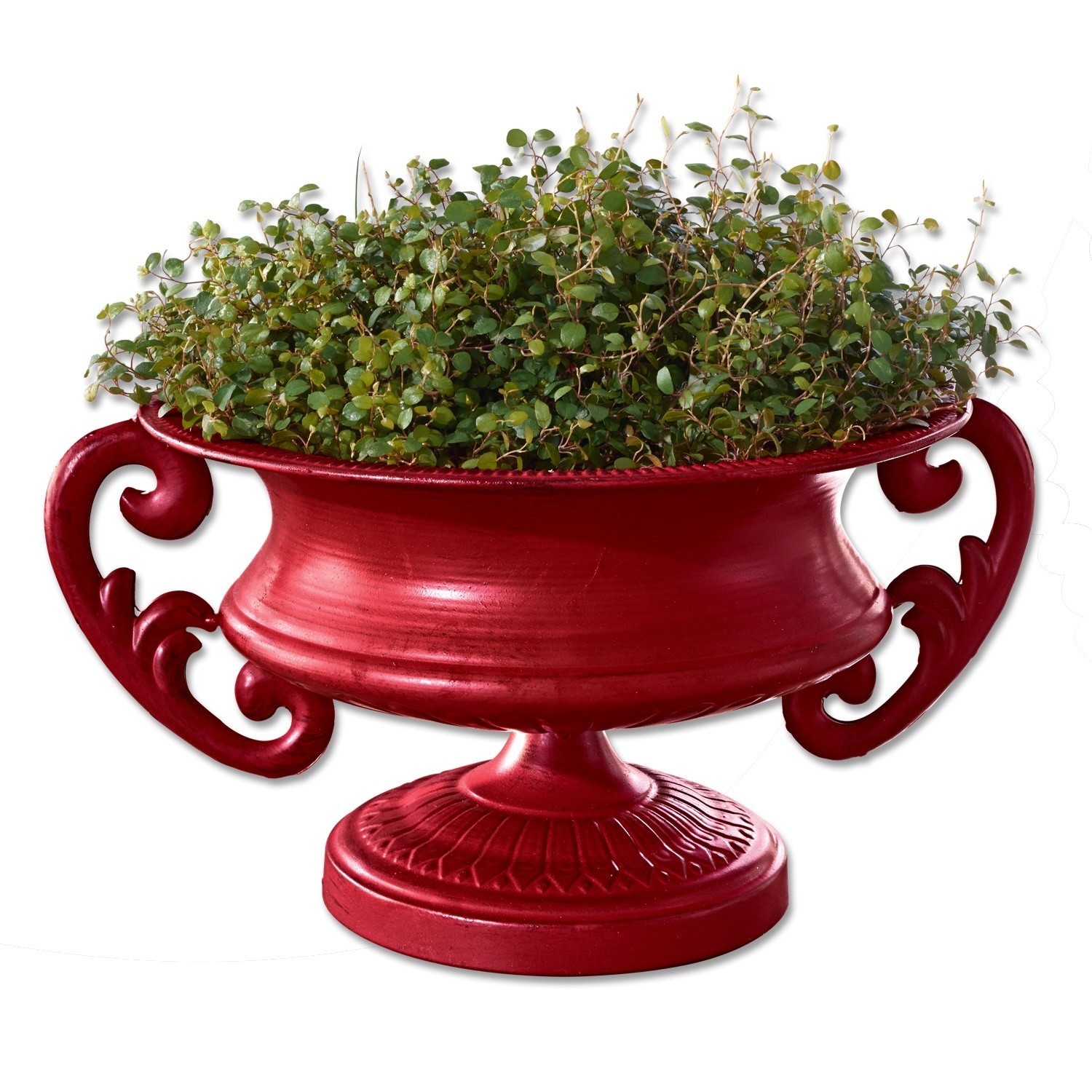 Rode keramische bloempot Taville met decoratieve handgrepen en groene plant voor interieurdecoratie