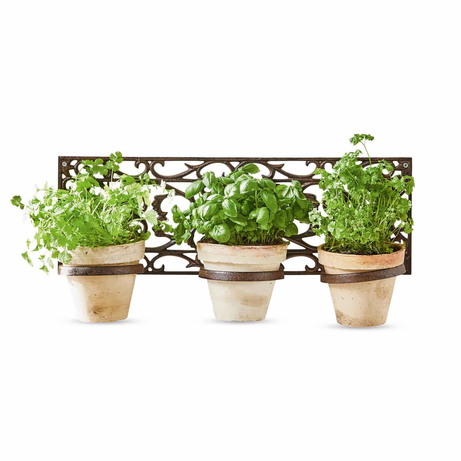 Porte-plantes Plesnois