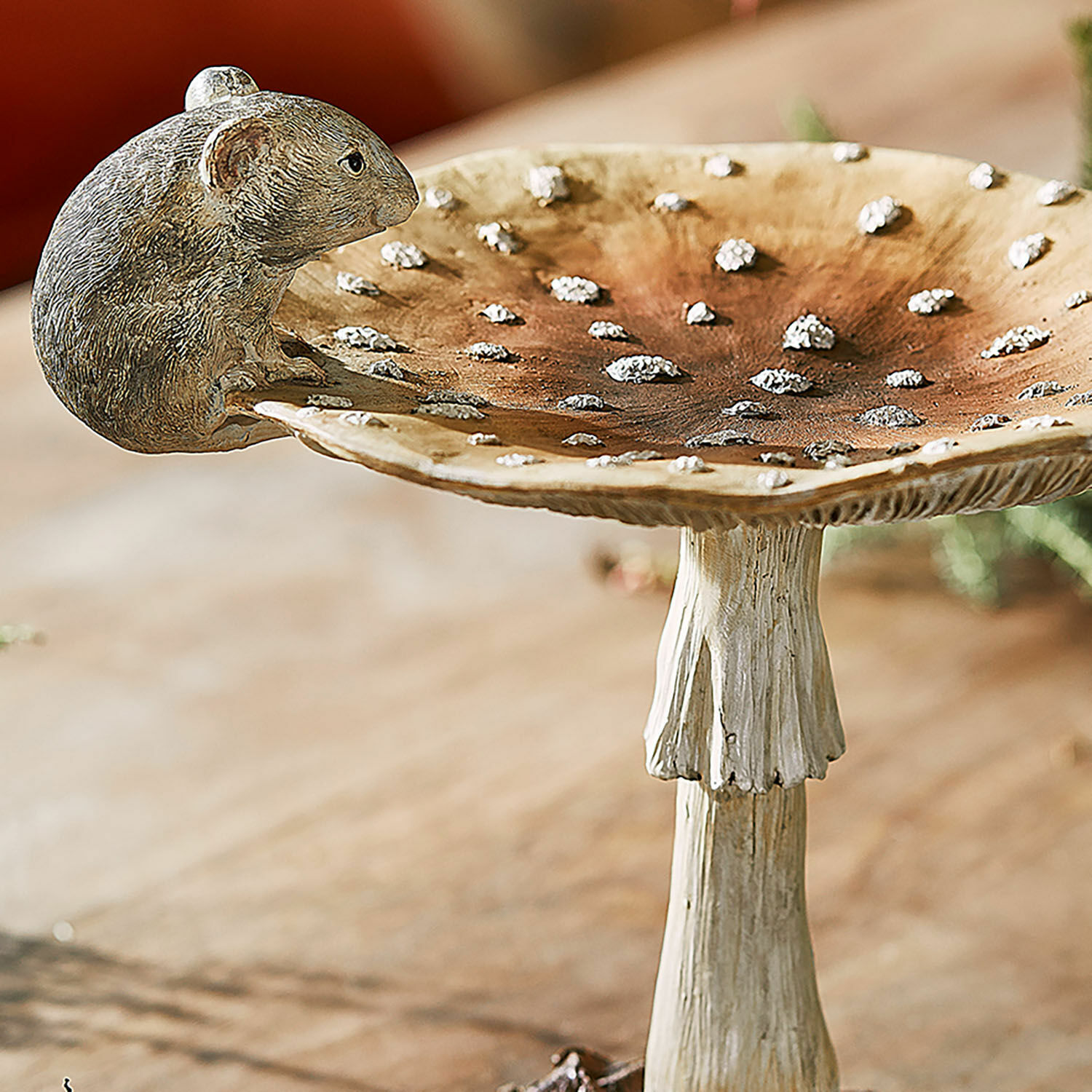 Champignon décoratif Isolise