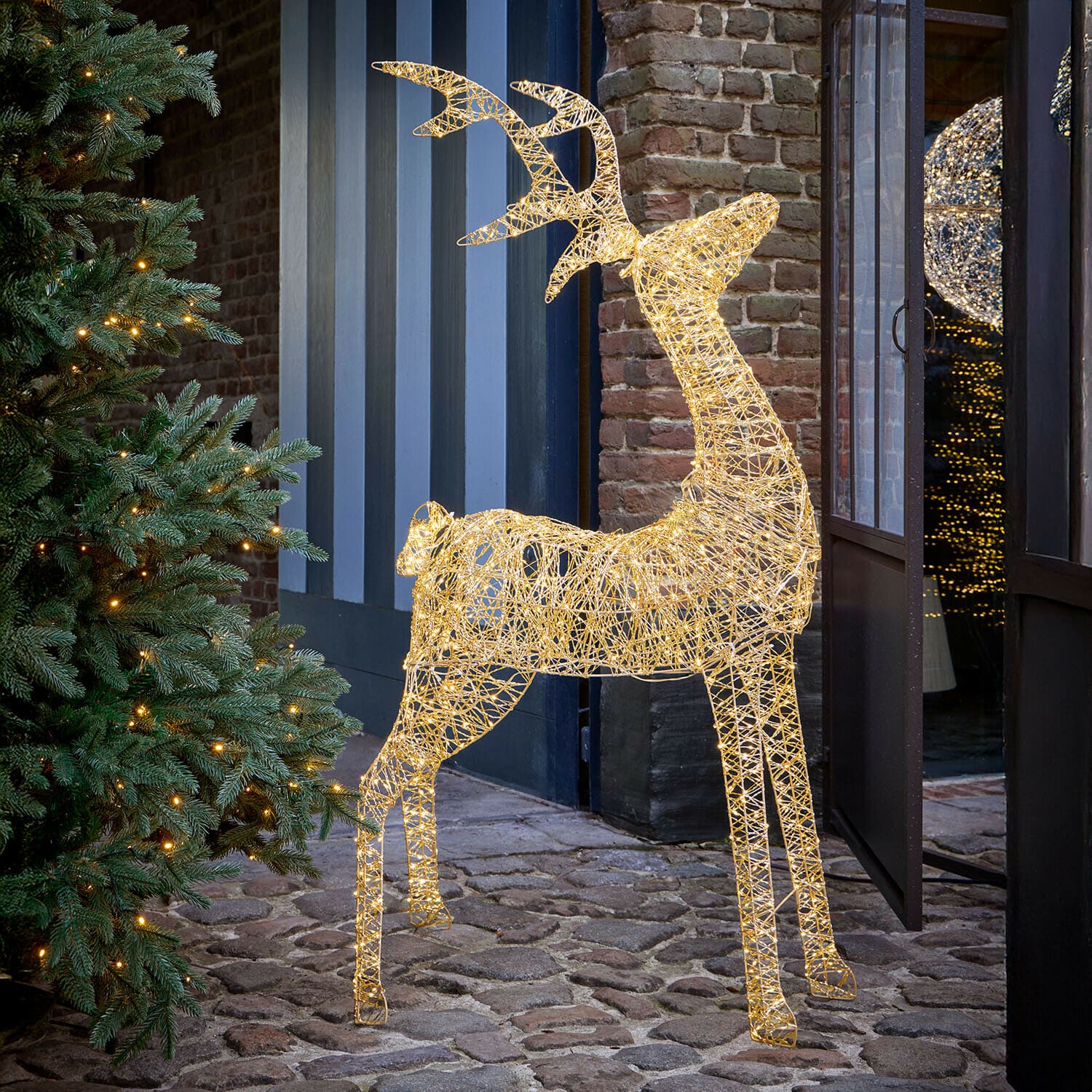 Cerf à LED Elanari Cerf à LED Elanari