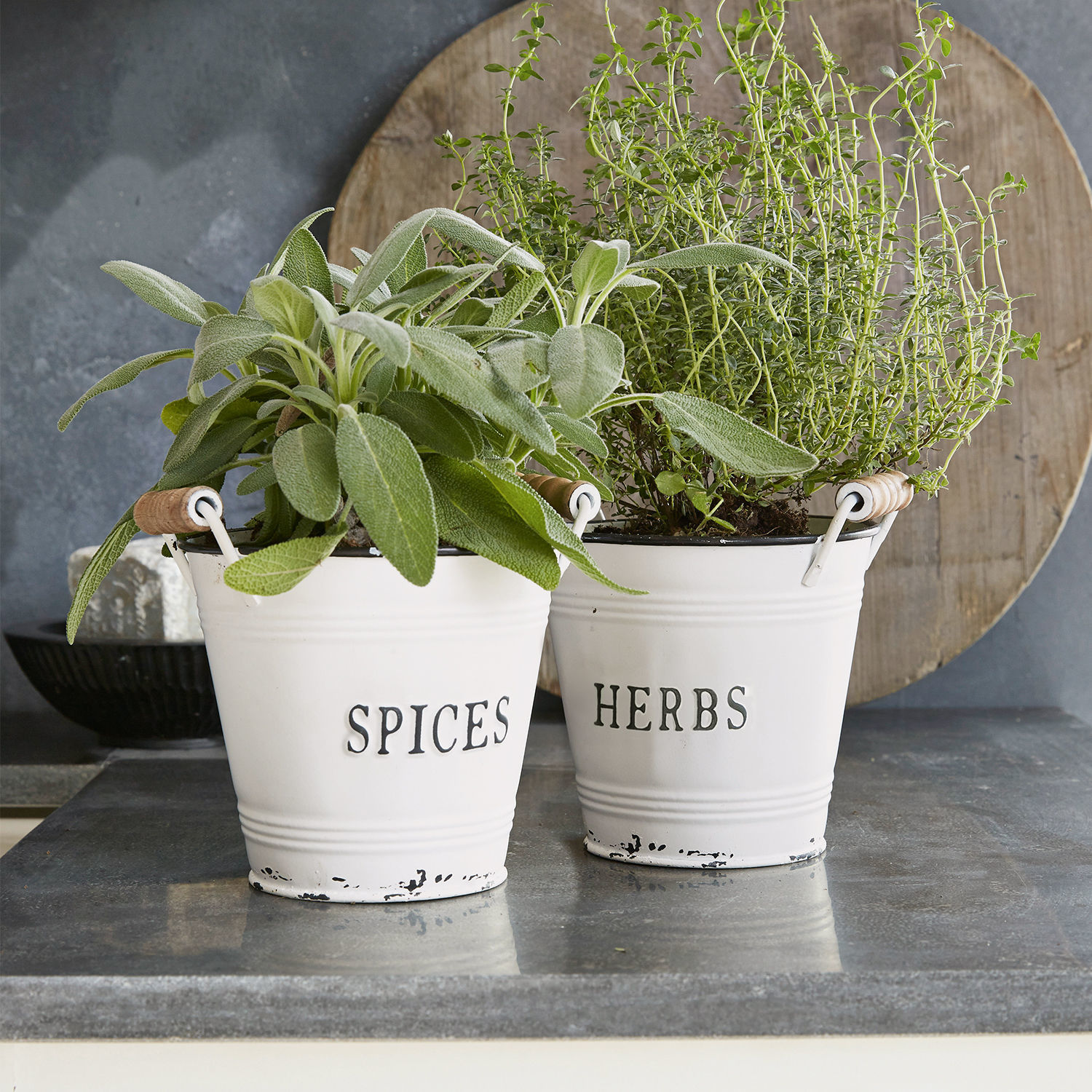 Pot set van 2 Trevis Witte metalen potten met opschrift Spices en Herbs met groene kruiden op het aanrecht