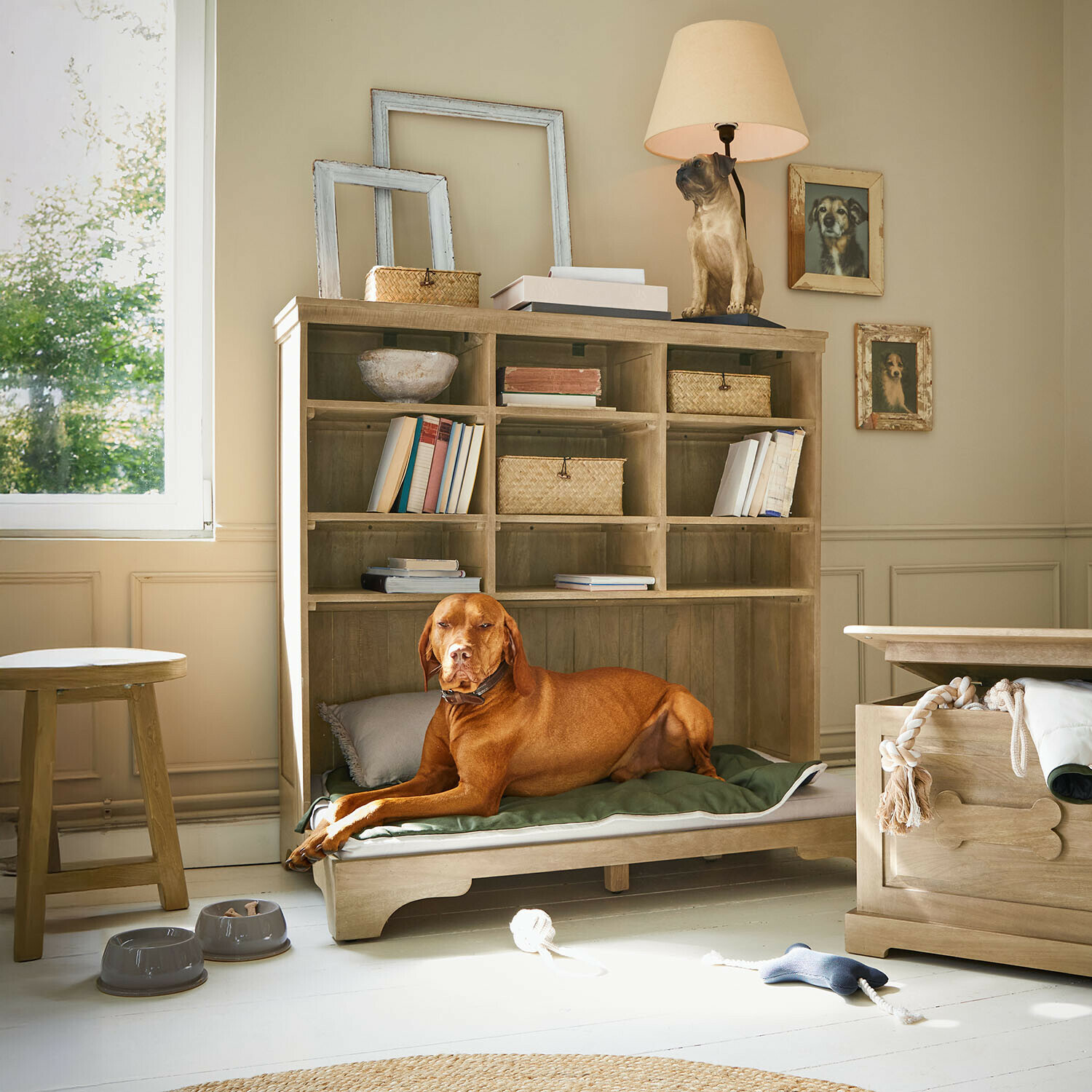 Huisdierenbed Céloniqu Hond liggend op groen kussen in houten hondenbed met planken en hondenlamp in kamer