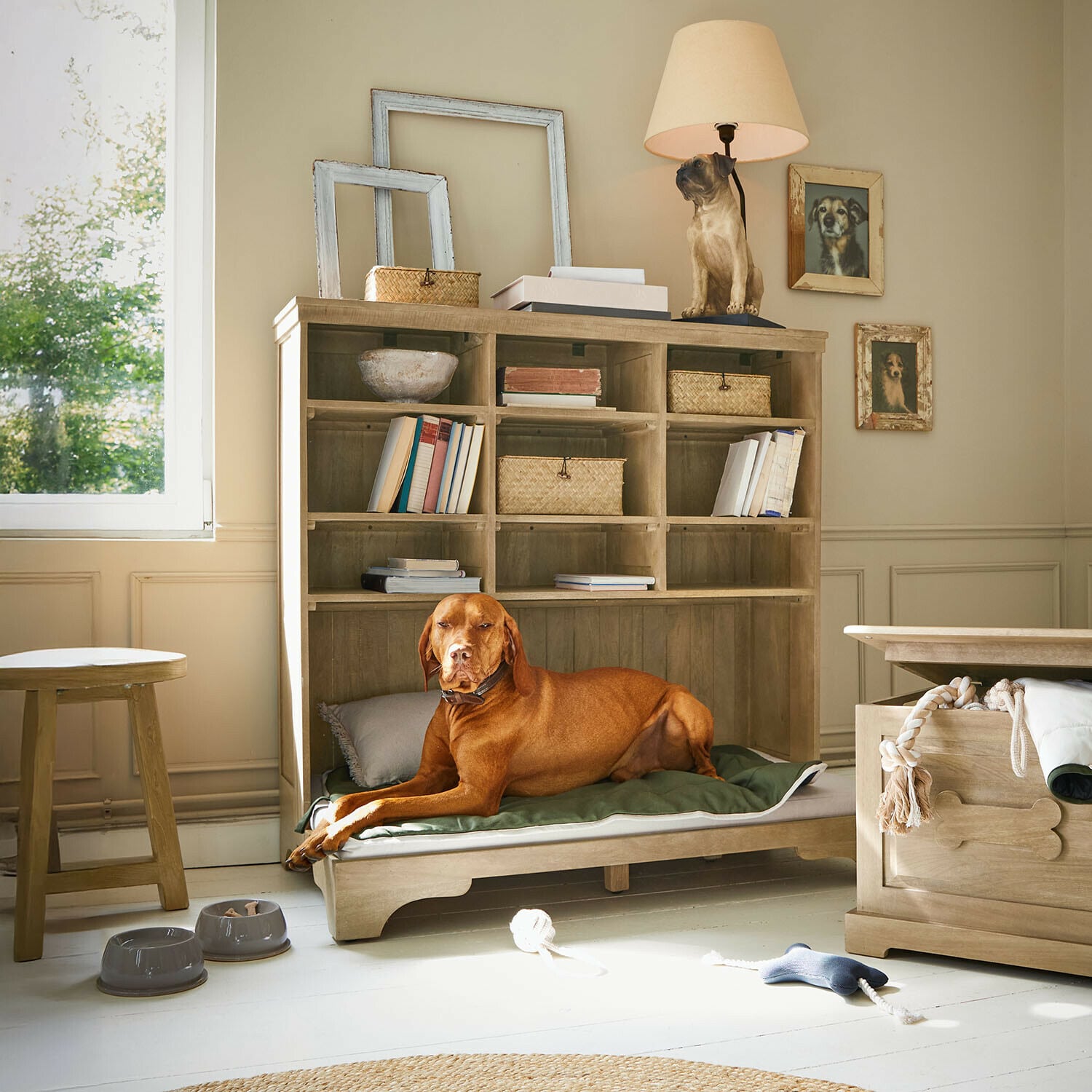 Huisdierenbed Céloniqu Hond liggend op groen kussen in houten hondenbed met planken en hondenlamp in kamer