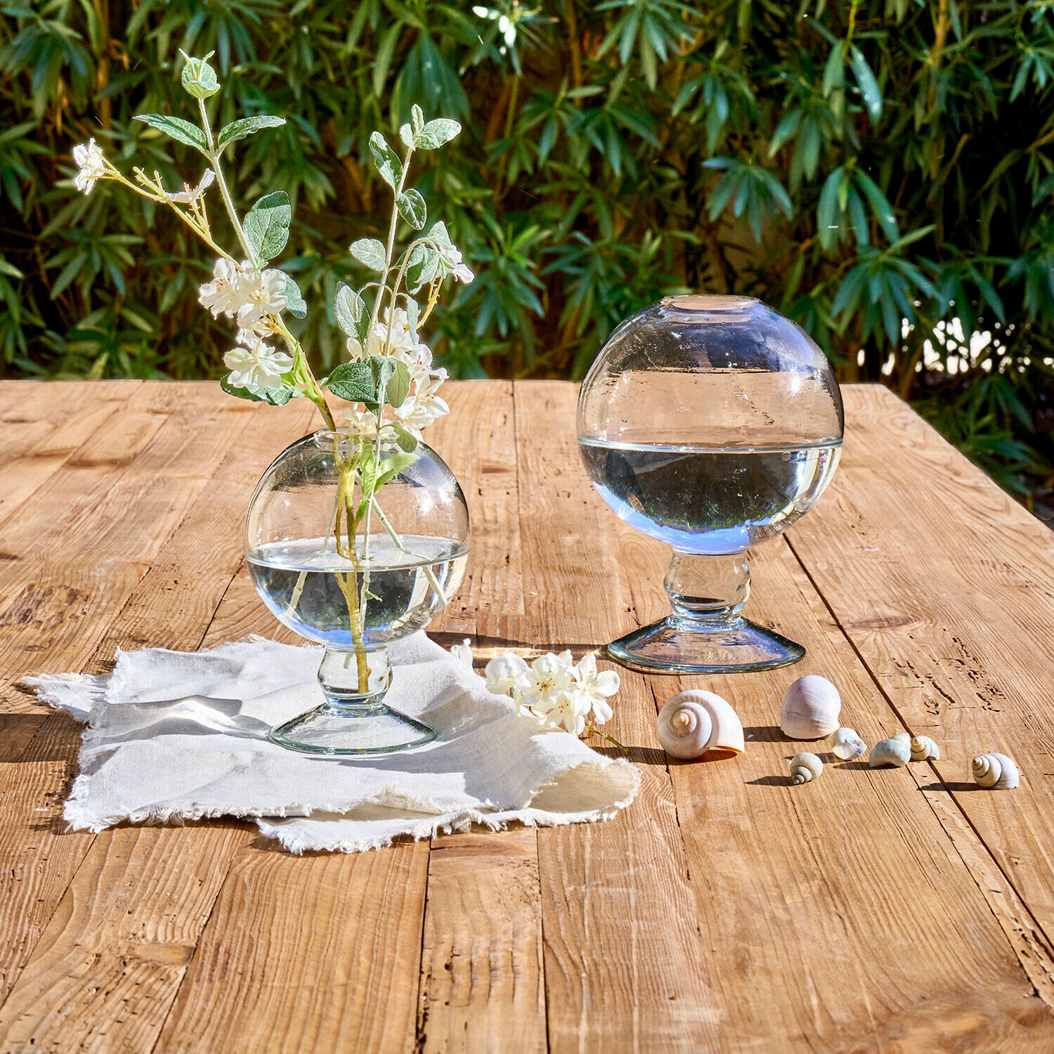 Vaas set van 2 Novalio Transparante glazen bollen met water, één met bloemen, op houten tafel met schelpen