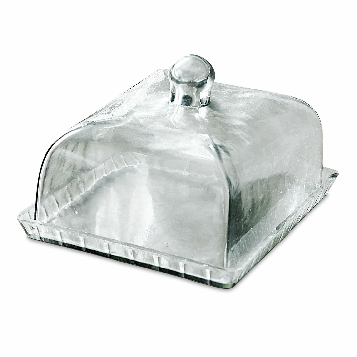 Cloche en verre avec plateau Termes