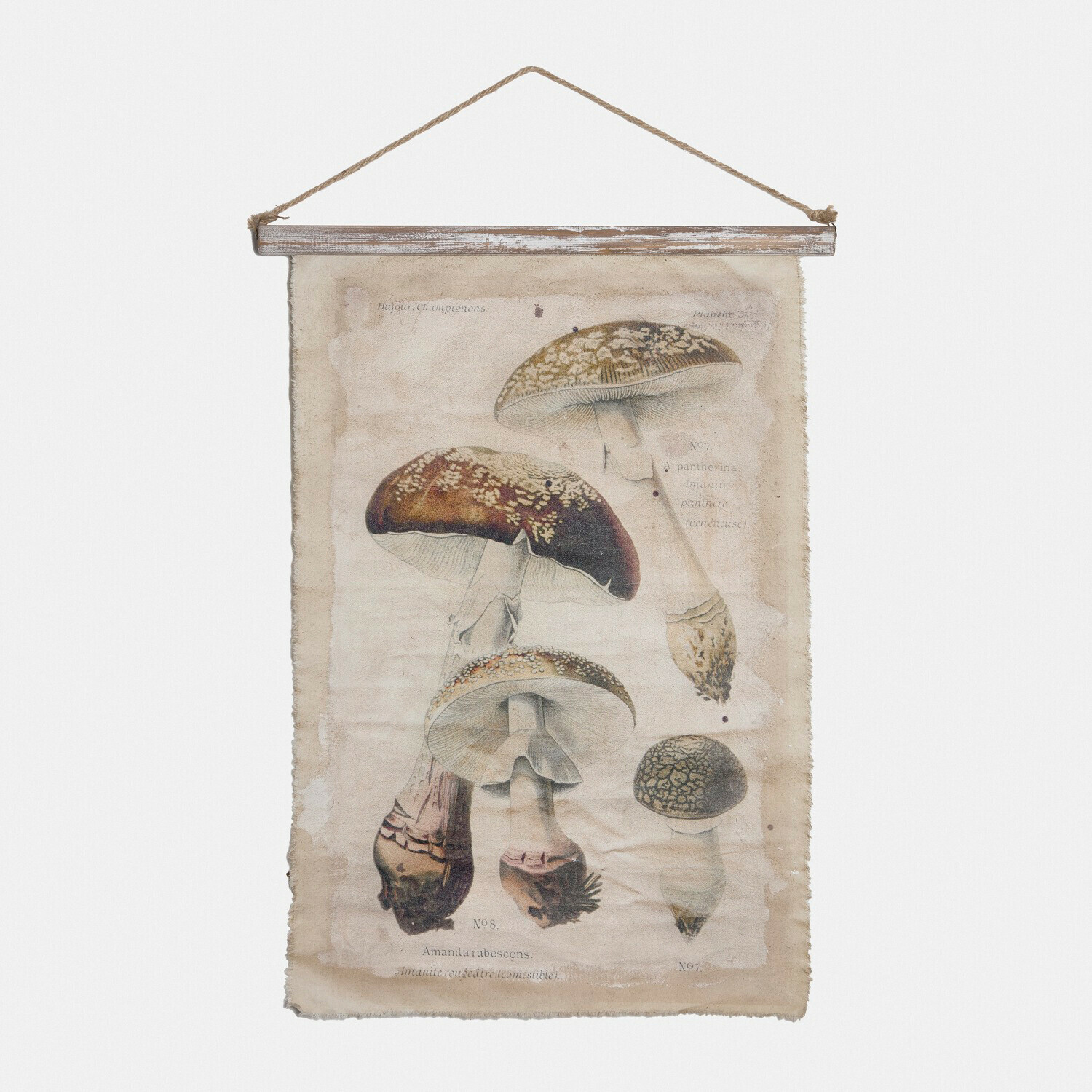 Tableau Rynmor