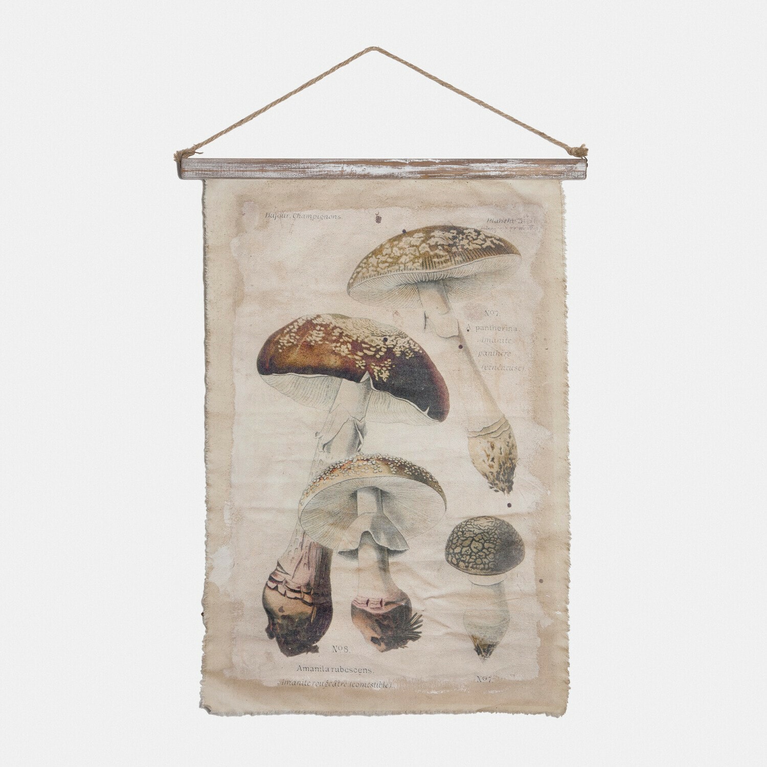 Tableau Rynmor